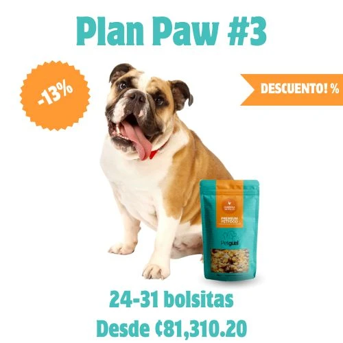 Plan Paw #3 Mensual