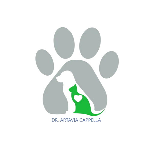 Logo de ArCa Vet Clínica Veterinaria / Santa Ana