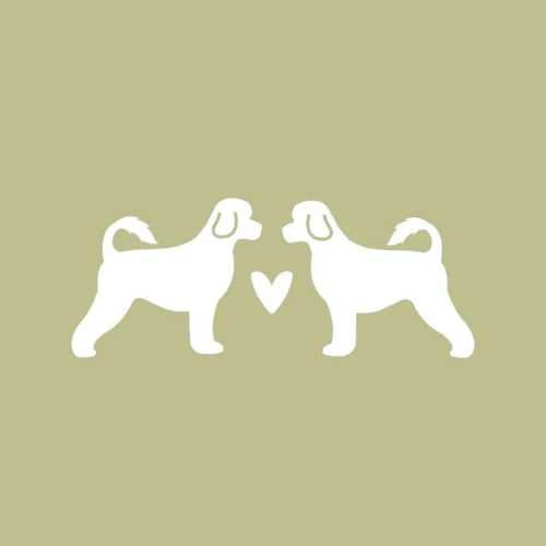 Logo de Dogmático Boutique Hotel & Spa / Pozos